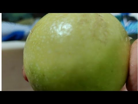 Cox’s bazar anarkoli fruit👌