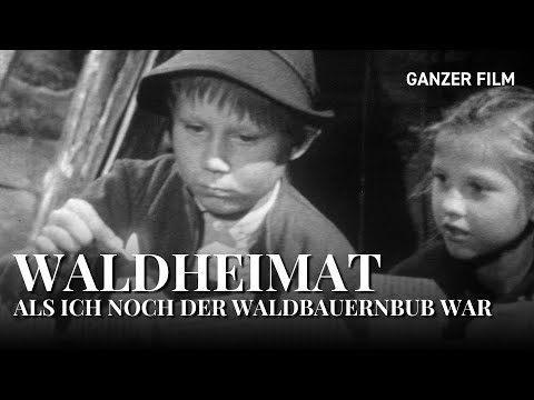 Als ich noch der Waldbauernbub war, 1963 | Ganzer Film | HeimatfilmeTV