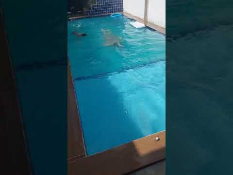 AVENTURAS DE NATHANAEL- NADANDO COM MEU PAI