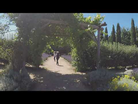 Lavandula Swiss Italian Farm in regional Victoria.