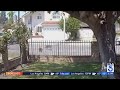 10-year-old cat named Mama fends off coyote in Pico Rivera