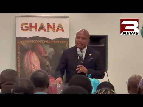 Ghana Airways to Fly Again in 2027 - Foreign Affairs Minister, Ablakwa