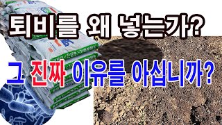 퇴비를 왜 넣는가? 그 진짜 이유를 아십니까? 이외로 잘못 아시는 분 많으세요( 퇴비 역할, 좋은 토양 이란…
