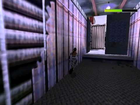 Tomb Raider Chronicles - The base