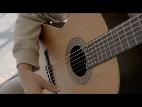 Altamira Basico Guitar | Product Demonstration