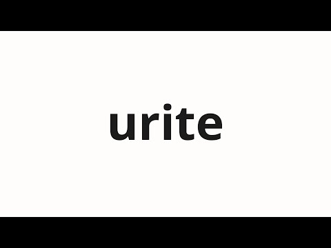 How to pronounce urite | 売り手 (seller in Japanese)