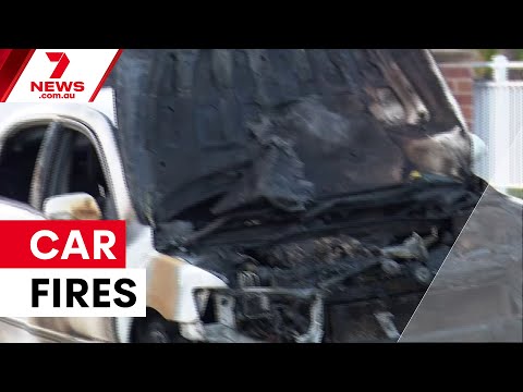 Arsonists target cars across Melbourne's southeast | 7NEWS