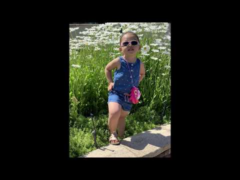 NEJ HOM ZOO ZOO NKAUJ