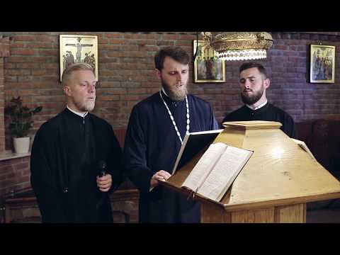 Noi, care pe heruvimi, Arhid. Ionut Ples & Strana Catedralei Episcopale, Baia Mare, (LIVE)