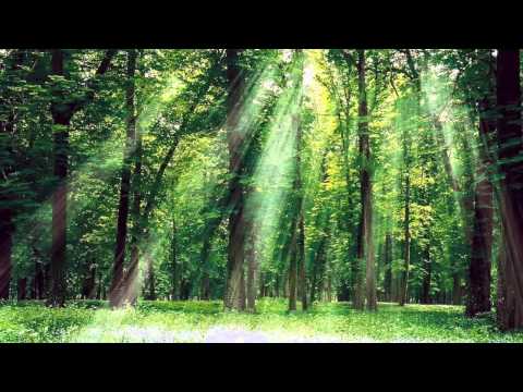 Beatleborg Johnston - Forest Entrance ft. Shapiro Tha Shinobi (Prod. Jairtheshadow)