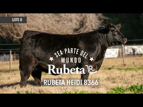 LOTE 8 - RUBETA 8366