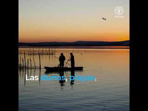 La Huerta de Valencia, Sistema Importante del Patrimonio Agrícola Mundial de la FAO en España