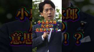 【小泉進次郎は謀反を起こす？】#政治 #政治ニュース #自民党 #自民党総裁選 #小泉進次郎 #四字熟語 #進次郎構文