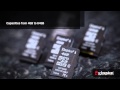 Video review Kingston 64 GB microSDXC class 10 + SD Adapter SDCX10/64GB