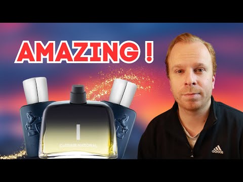 THE BEST PDM Layton Alternative PERIOD | Costume National I Review