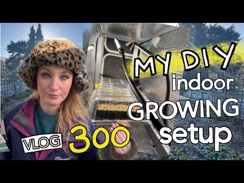 My DIY Indoor Grow Setup for New Year Chilli Sowing!