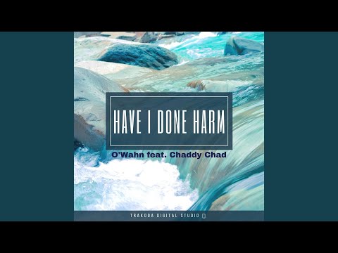 Have I Done Harm (feat. Chaddy Chad)
