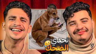 حاول ألا تضحك 😂 أفضل 50 فيديو مضحك في العالم | أصعب تحدي ضحك 2026