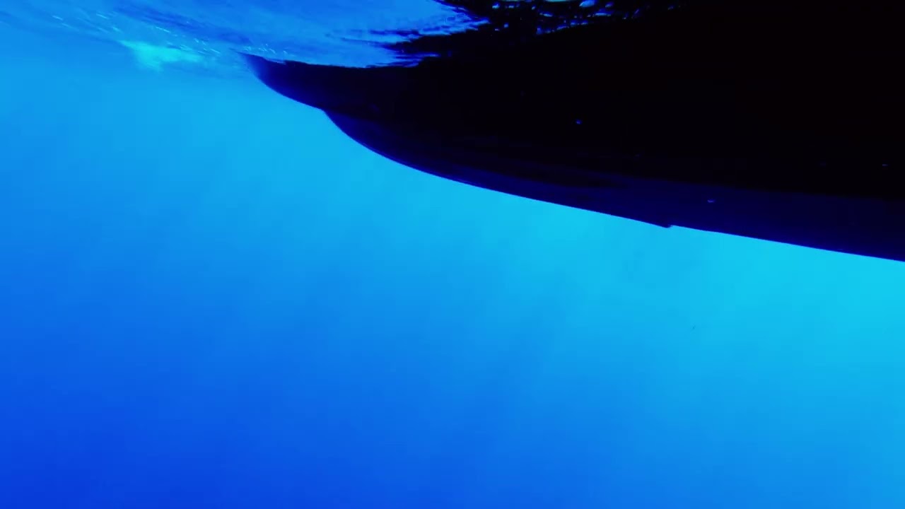 Colorgrade00197391
