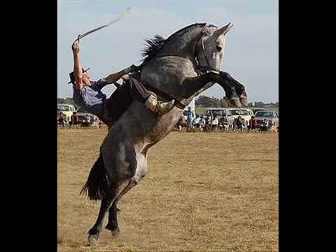 Eu sou bagual (Gaucha) - Alejandro Albistur