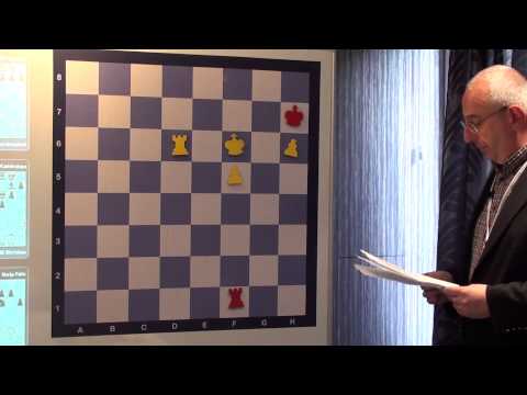 GM Atalik - Capablanka rules in chess engame