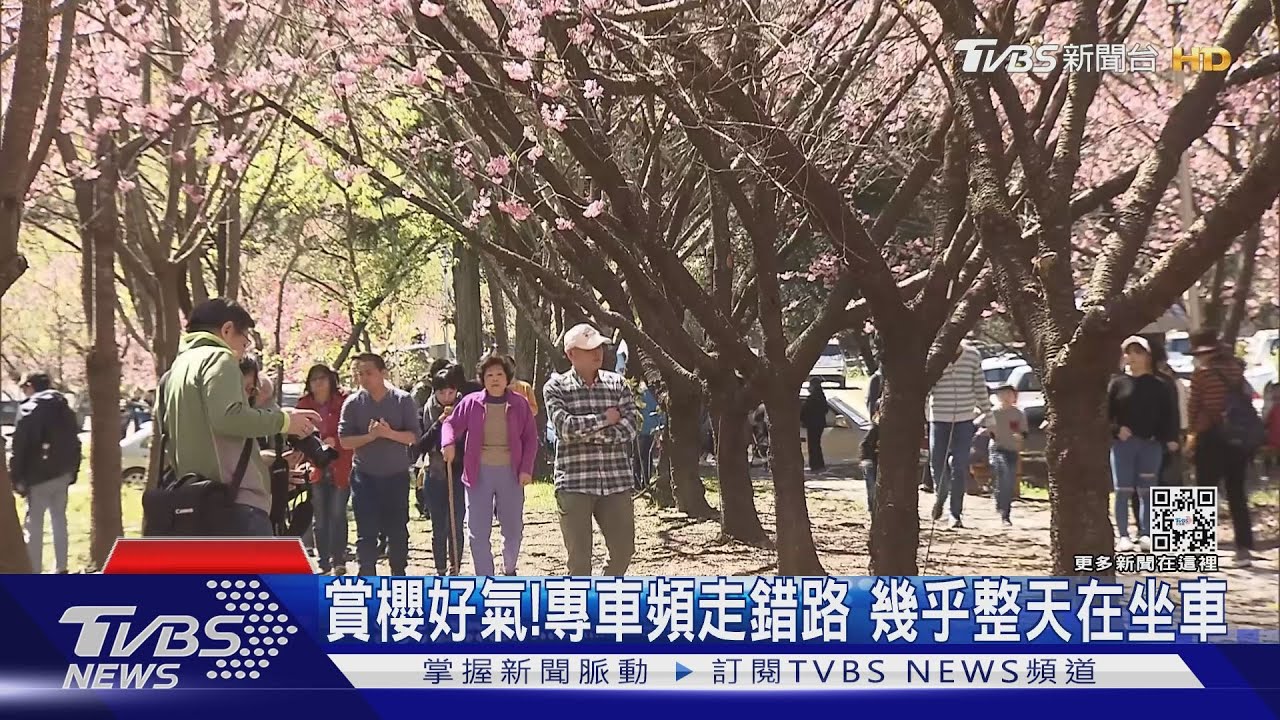 賞櫻好氣！專車頻走錯路給客運抵用券補償　民怨：誰敢再搭