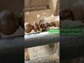 CARA MEMBUAT KEPALA TASBIH