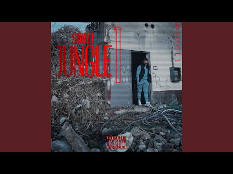 Street Jungle 1