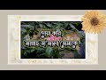 Birthday Wishes For Wife Husband In Bangla 2 Birthday Wishes For Wife Husband In Bangla