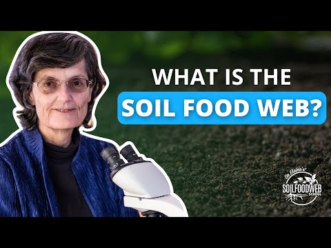 What is the Soil Food Web? | Soil Food Web School