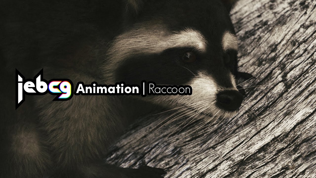 Wild Raccoon 3DS Max 3D Model