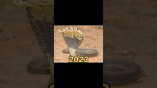 Download lagu five headed cobra 2023 vs five headed cobra 250 million years ago #shorts #viral #shortvideo #edit mp3