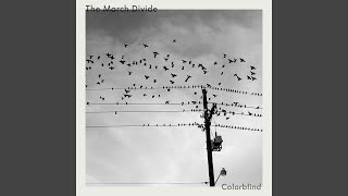 Colorblind Music Video