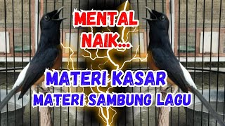 Download lagu 100% full GACOR !! Pancingan Murai Batu GACOR AMPUH menjadikan murai batu cepat gacor bunyi EMOSI mp3