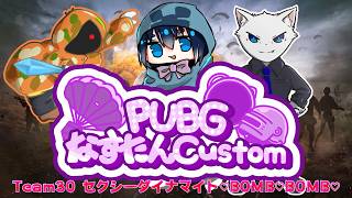 【PUBG】なすたんカスタム杯【Team 30】