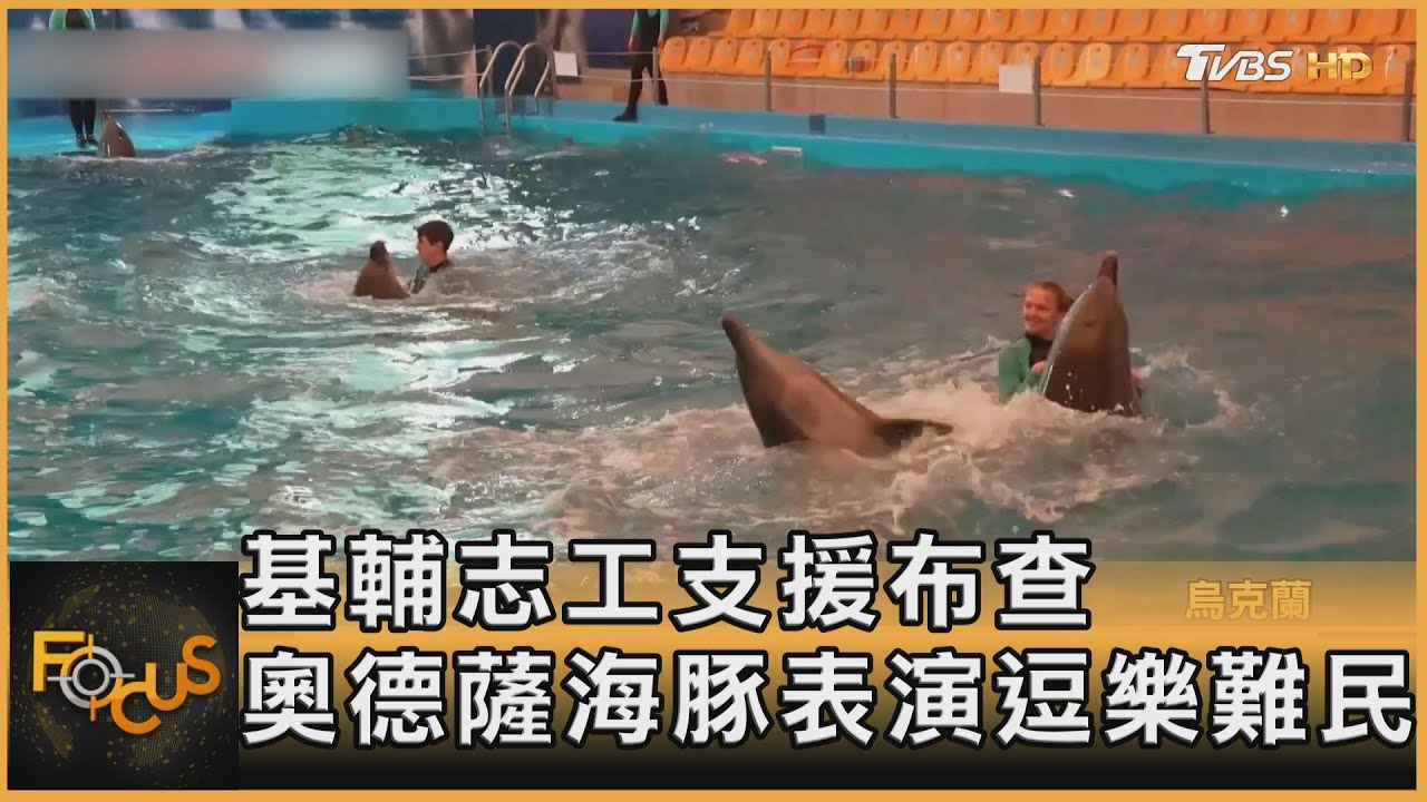 基輔志工支援布查 奧德薩海豚表演逗樂難民