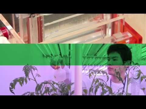 応用生物学部 生命科学・医薬品専攻 医薬品コース