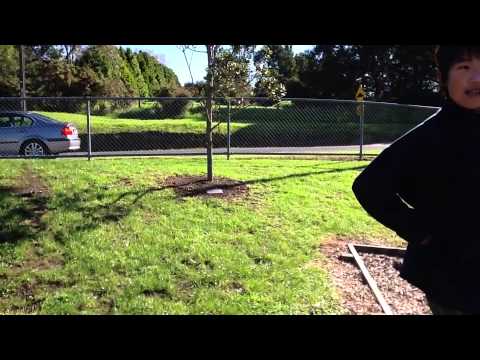 The boy called Johnny Movie Day