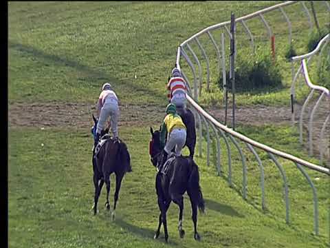 Galoppo 21/06/2019 - 5ª corsa - TRIS