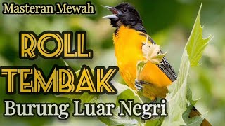 Download lagu MASTERAN ROLL TEMBAK BURUNG LUAR NEGRI‼️Bikin burungmu juara. mp3