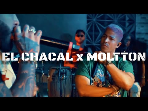 El CHACAL X MOLTTON EN MOJITOS TAMPA