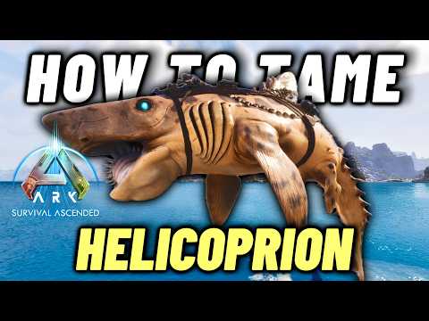 How To Tame A Helicoprion, Ark Survival Ascended Tame Guide!