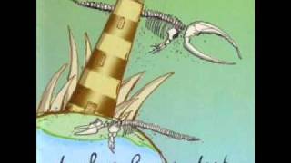 Pollen and Salt   Daphne Loves Derby