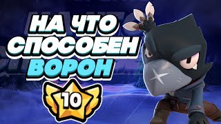 BRAWL STARS ВОРОН НА ЧТО ОН СПОСОБЕН СТОЛКНОВЕНИЕ! Crow Кроу Ворон 10 уровень силы Бравл Старс