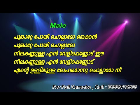 Poonkatte Poyi Chollamo Karaoke with Lyrics | Shyama