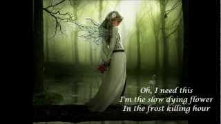 Natalie Merchant - My Skin lyrics