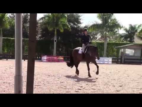 Beezie Madden Schooling Changes and Nailing the Tempi's!