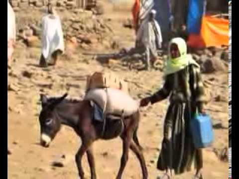 download lagu mp3 mp4 Senait Ethiopia Tours, download lagu Senait Ethiopia Tours gratis, unduh video klip Senait Ethiopia Tours
