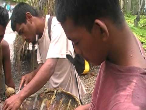 ARMIJ IN MAJOL ILO UJAE ATOLL AUG 2011