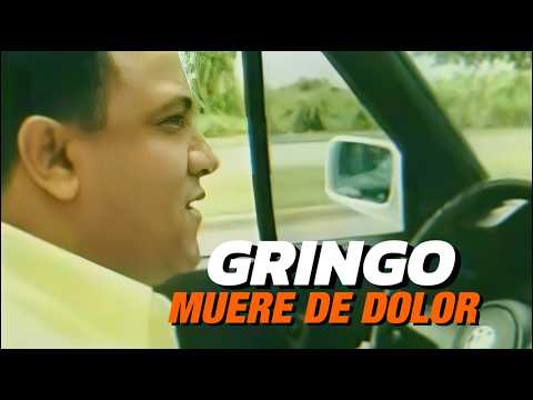 Gringo Muere de Dolor - El gringo de la bachata - Lyric